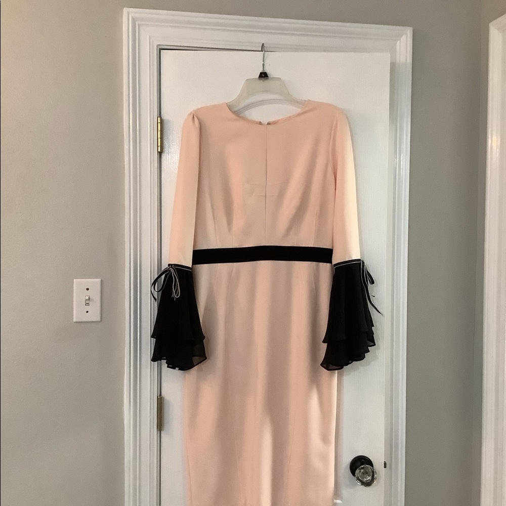 Eva Mendes size 8 blush pink and black fancy sleeves dress